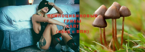 герыч Куйбышев