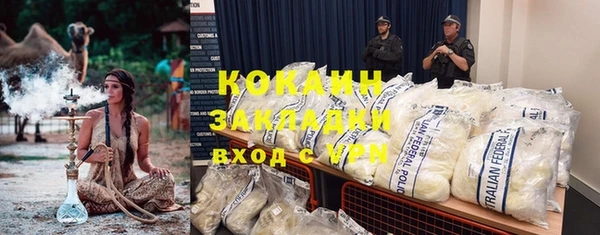 прущие грибы Кукмор