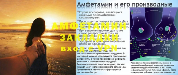 ешки Богданович