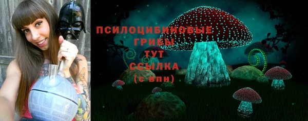 герыч Куйбышев