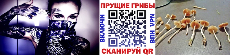 Галлюциногенные грибы мухоморы  Щёлково 